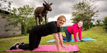 Load image into Gallery viewer, Goat Yoga - Sunday 21st July 2024 11am
